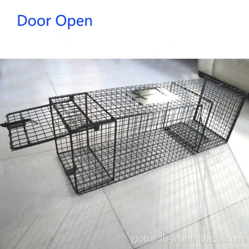 Sus304 Stainless Steel Wire Mesh Steel Wire Mesh Live Animal Trap Cages Manufactory